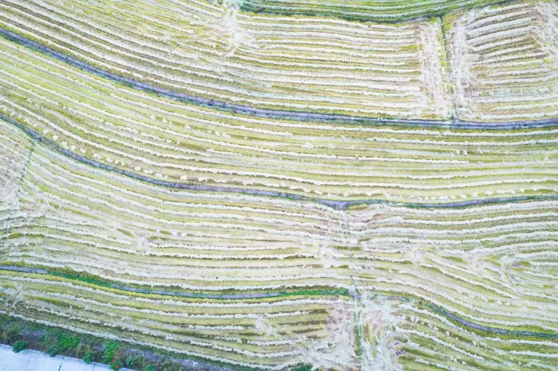 嵌入式系统低功耗设计要点及工业控制应用实践