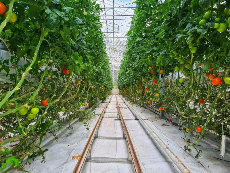嵌入式系统低功耗设计关键技术解析与工业控制应用实践